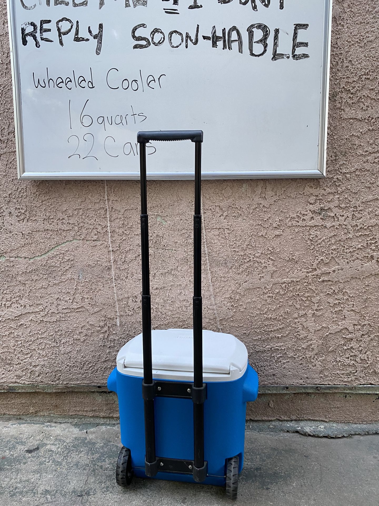 Small Coleman Cooler