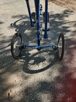 Exercise street trike