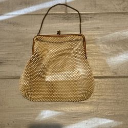 Bearded little pocketbook