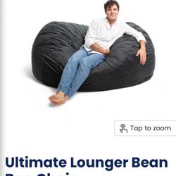 Chair The ultimate bean Bag Chair