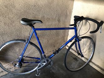 Windsor Bike.
