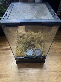 Zoomed Terrarium 12x12x18