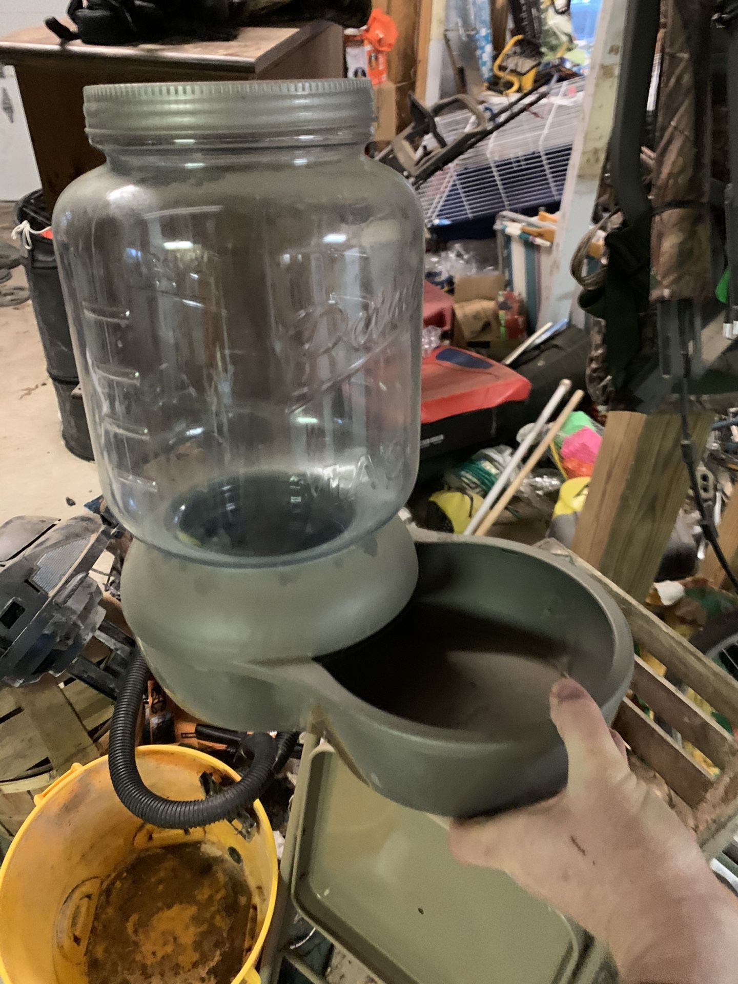 Dog water system