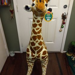 Giraffe 