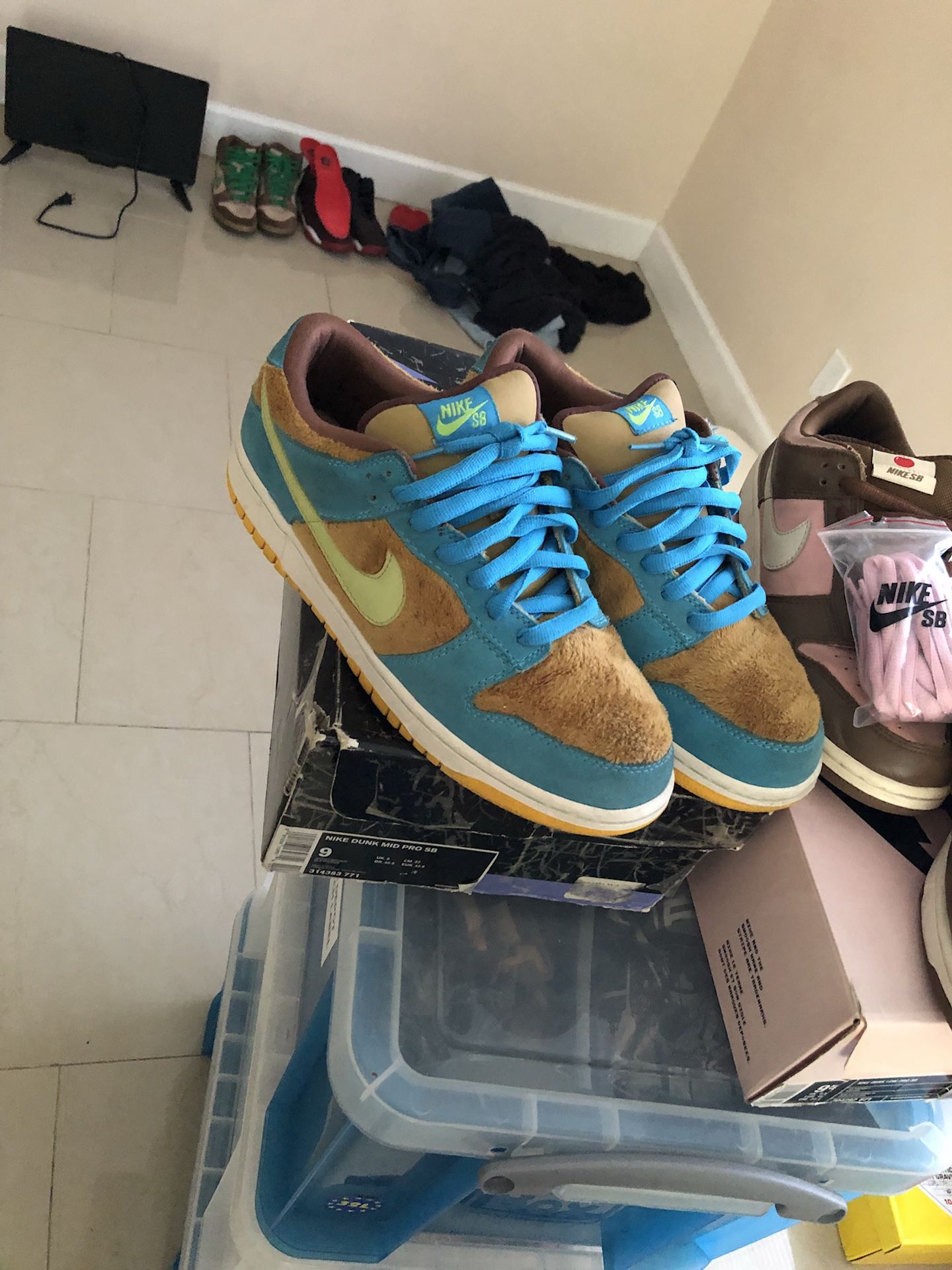 Nike sb baby bears