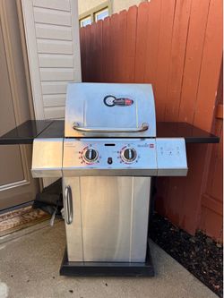 Stainless Steel Gas Grill – Great for 4th of July! 🇺🇸🔥