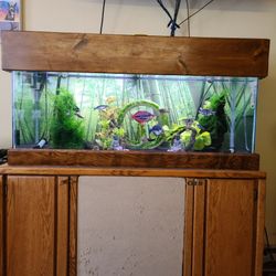 75 gallon glass aquarium with supplies