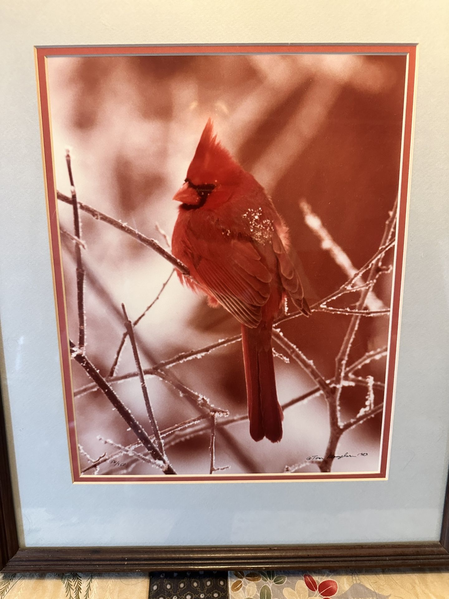 Cardinal print by Magneson