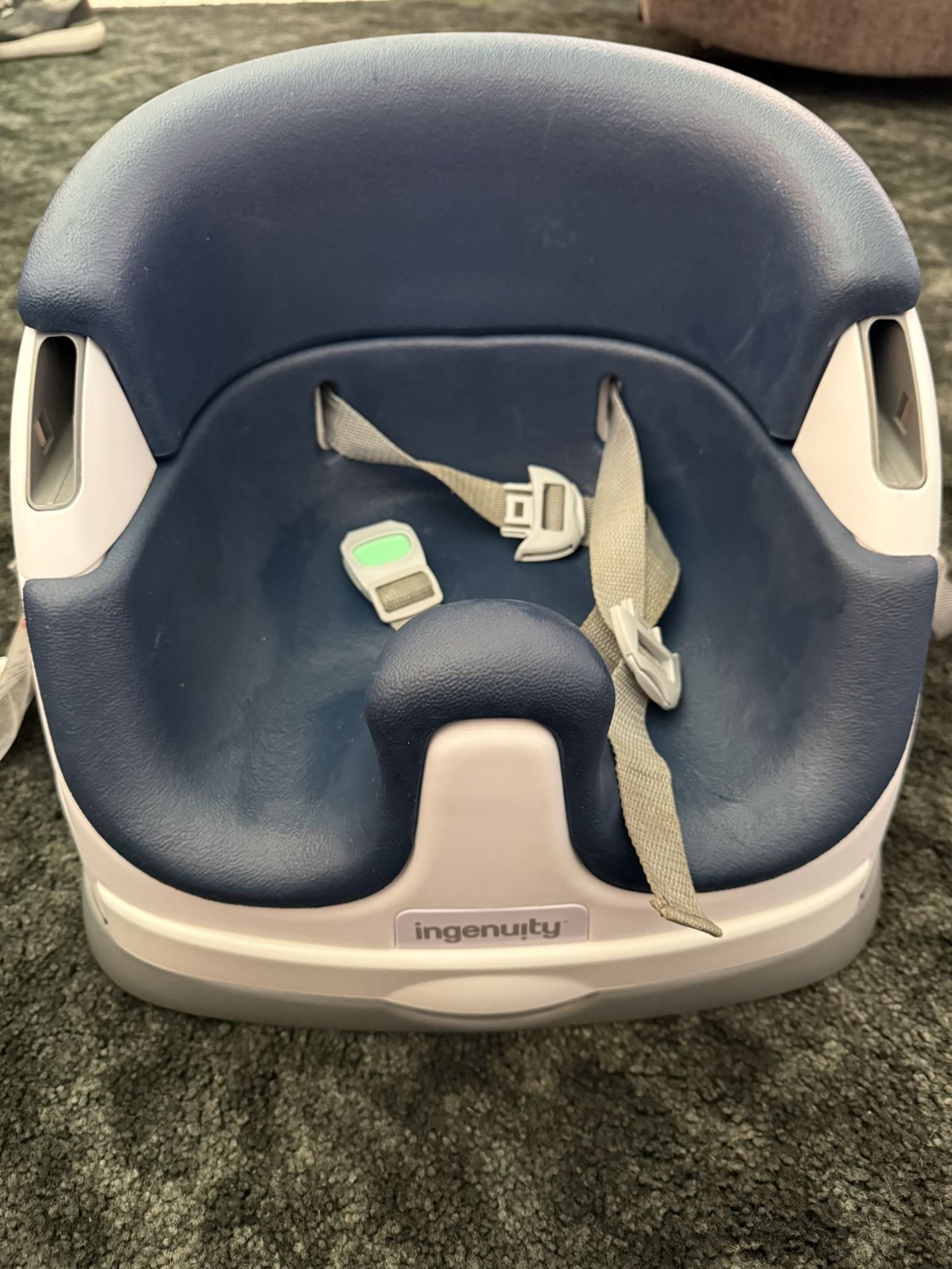 Inginuity Booster Seat