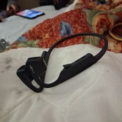 Aftershokz Titanium Headphones