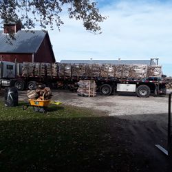 Firewood 