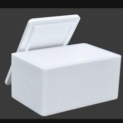 Large Cooler Chest