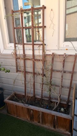 Garden bed with trellis