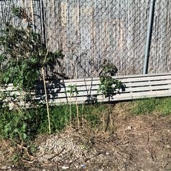 25'aluminium Scaffolding Plank.$100