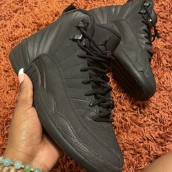 winterized jordan 12s
