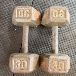 30lb Dumbbells