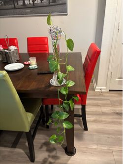 Ivy