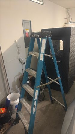 Werner 6ft Ladder
