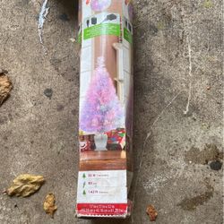 Many Christmas tree light Up