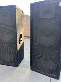 Dual 15 Inch Full Range Speakers 🔊