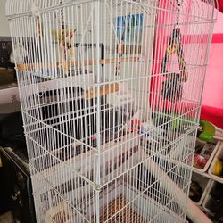 White Bird Cage With Bird Accessories Including Food And Treats