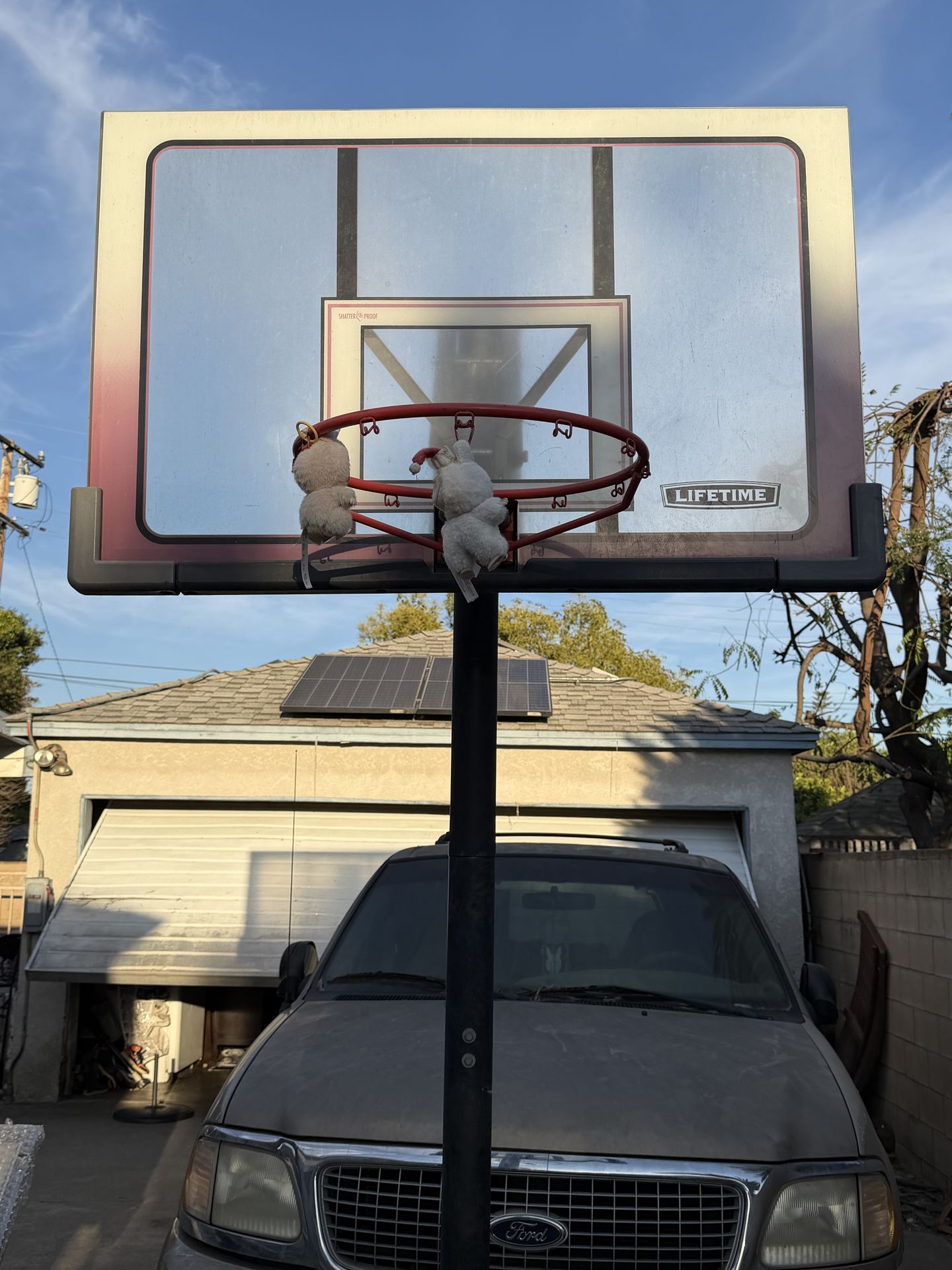 Lifetime basketball adjustable hoop