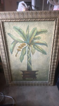 Big picture of tropical tree textured