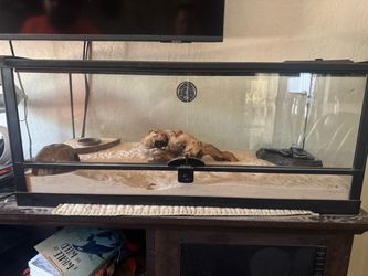 Glass Reptile Terrarium with Accessories