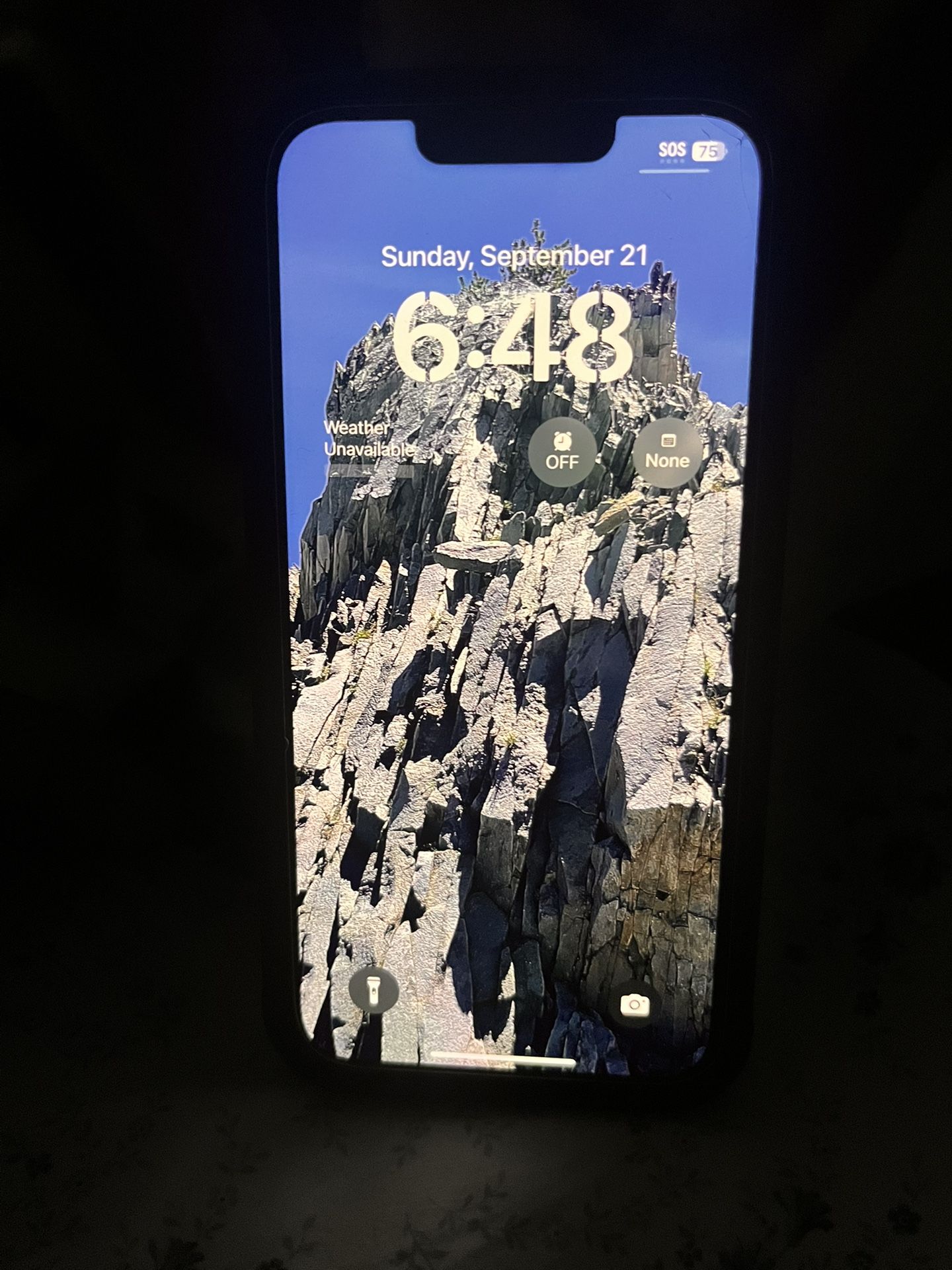 iPhone 13 Pro 256 Gb Excellent Condition Graphite