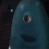 BOLTED