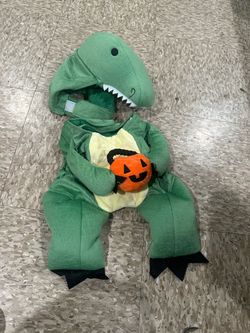 Costume dog
