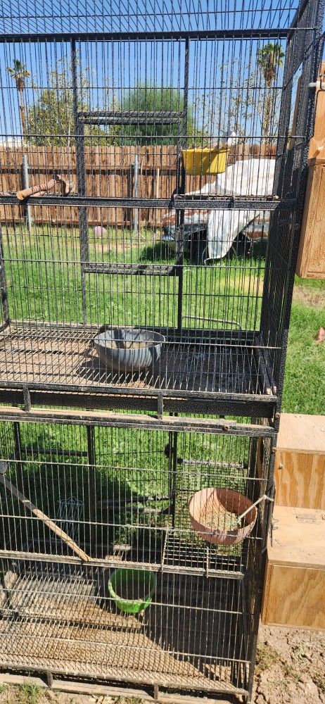 Double Bird Cage