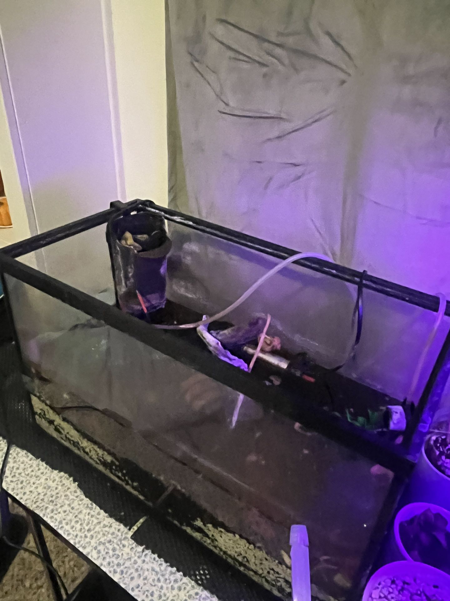 10 Gallon For Sale And Everything That Games With It. $90