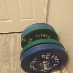 Bumper Plates, 2x 25 & 2x 45