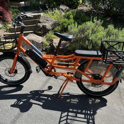 Rad Power Bikes: RADWAGON!