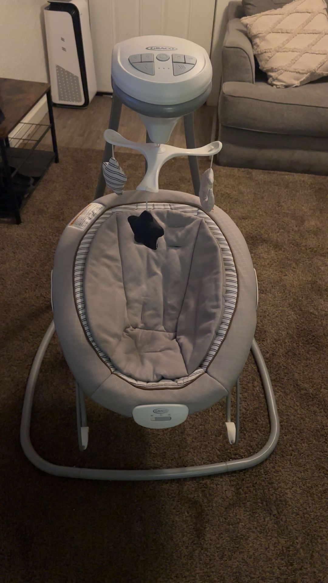 Graco Swing  and Bouncer 