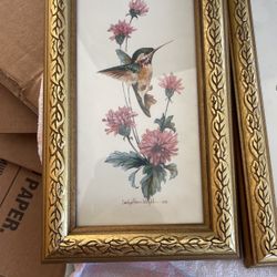 VINTAGE WALL ART, Hummingbird, Carolyn Shore Wright, Humming Bird Art, Gold Frame, Gift Ideas, Birds Lover,