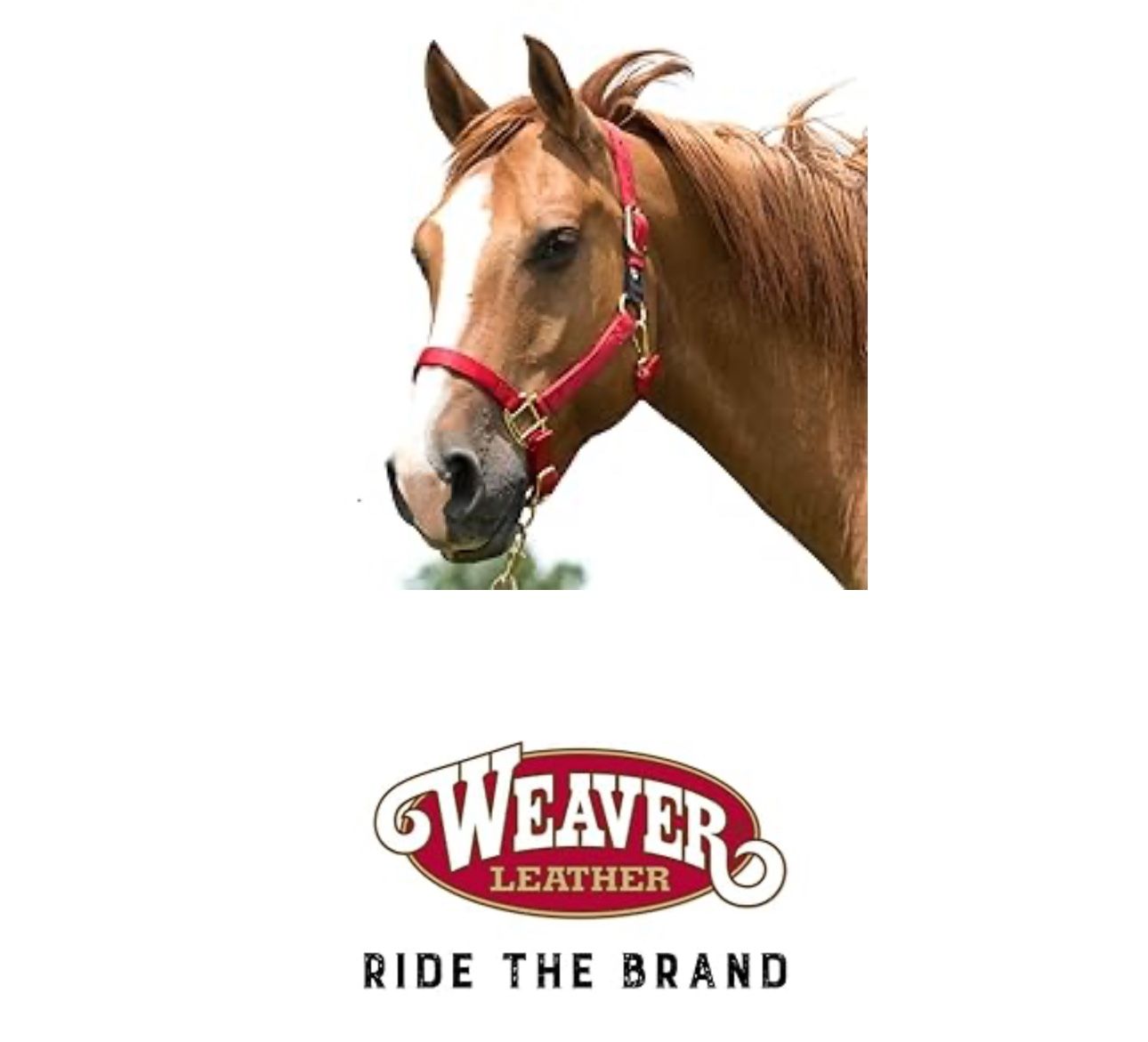 Adjustable Patterned Nylon Basic Horse Halter (Red) Size Small (500-800lbs) by Weaver Leather