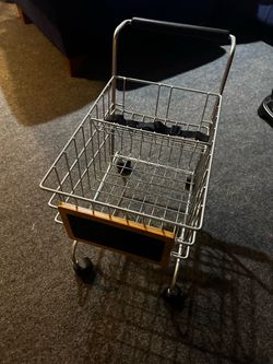 Kids play shopping cart
