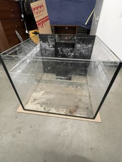 Saltwater Fish Tank Or Freshwater