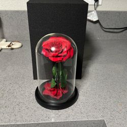 Rose 🌹 Gift 