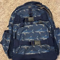 Kid Backpack From Pottery Barn P/u 98008 Bellevue 