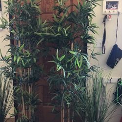Two!!  Faux  BAMBOO TREES From IKEA