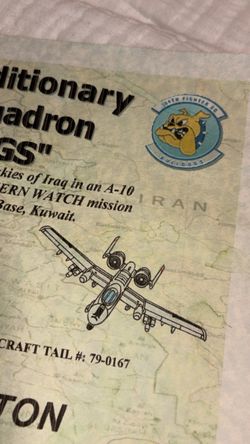 354th Fighter Squadron Bulldogs A-10 Military Print