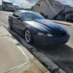 2000 Ford Mustang