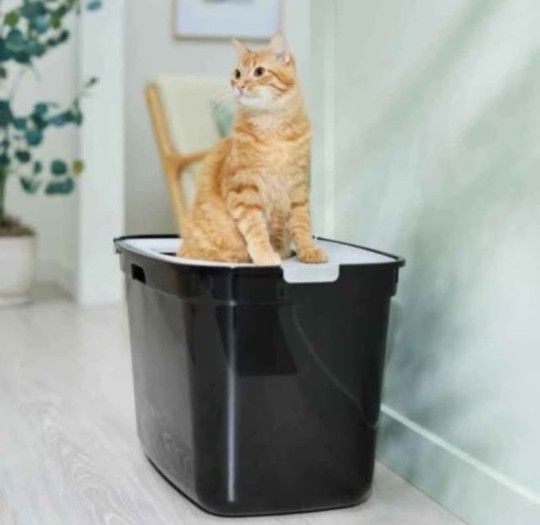 BRAND NEW IN BOX - XL Litter Boxes $20 Each