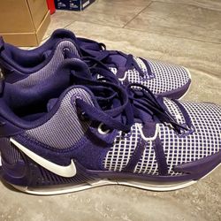 Men’s Nike LeBron Witness 7 TB Court Purple Size 10.5 Great Condition No Box
