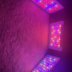 Grow Tent With 3 LED Lights 