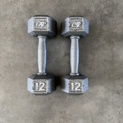 12lb Dumbbells