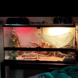 40 Gallon Terrarium With Front Swinging Doors